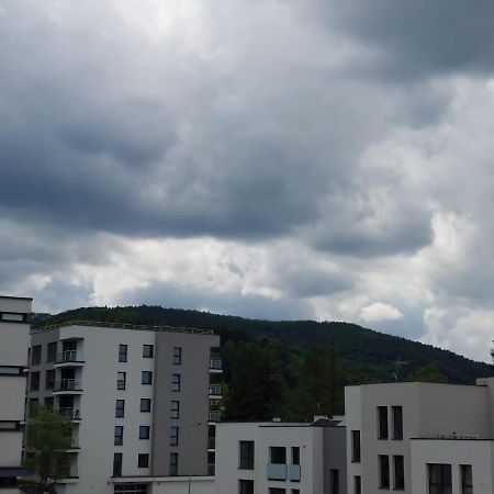Apartament Pod Szyndzielnia, Debowiec Bielsko-Biała Buitenkant foto