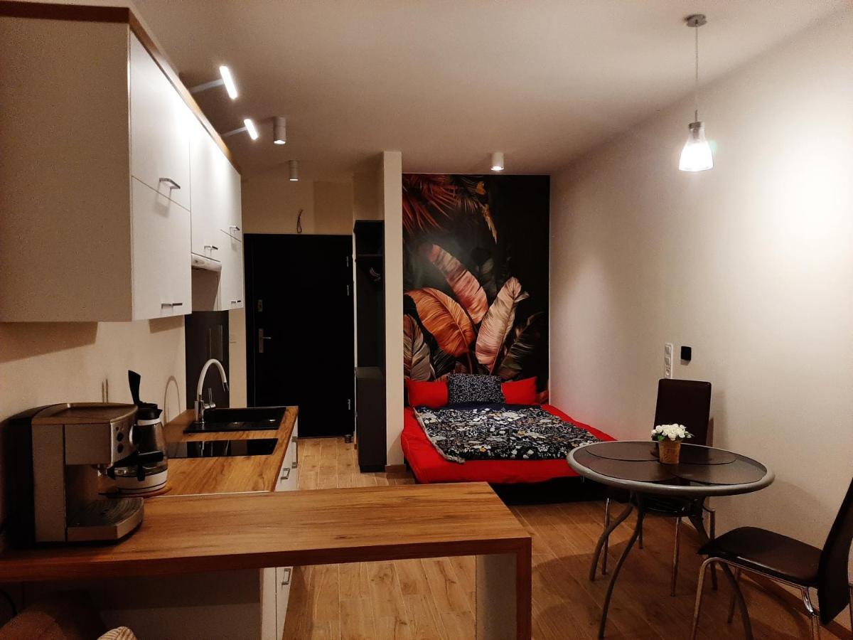 Apartament Pod Szyndzielnia, Debowiec Bielsko-Biała Buitenkant foto