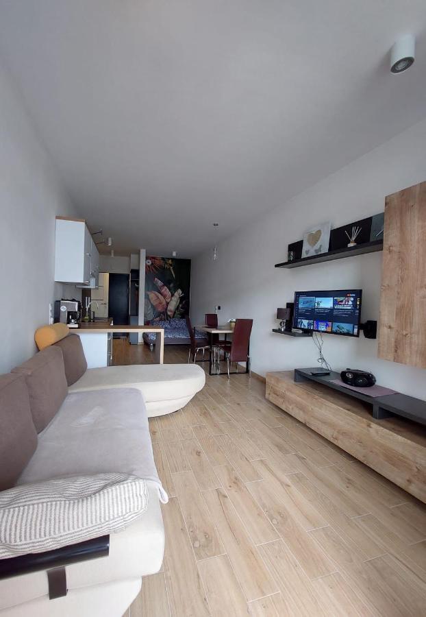 Apartament Pod Szyndzielnia, Debowiec Bielsko-Biała Buitenkant foto