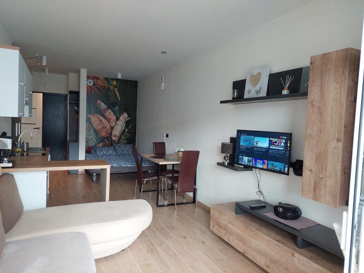 Apartament Pod Szyndzielnia, Debowiec Bielsko-Biała Buitenkant foto