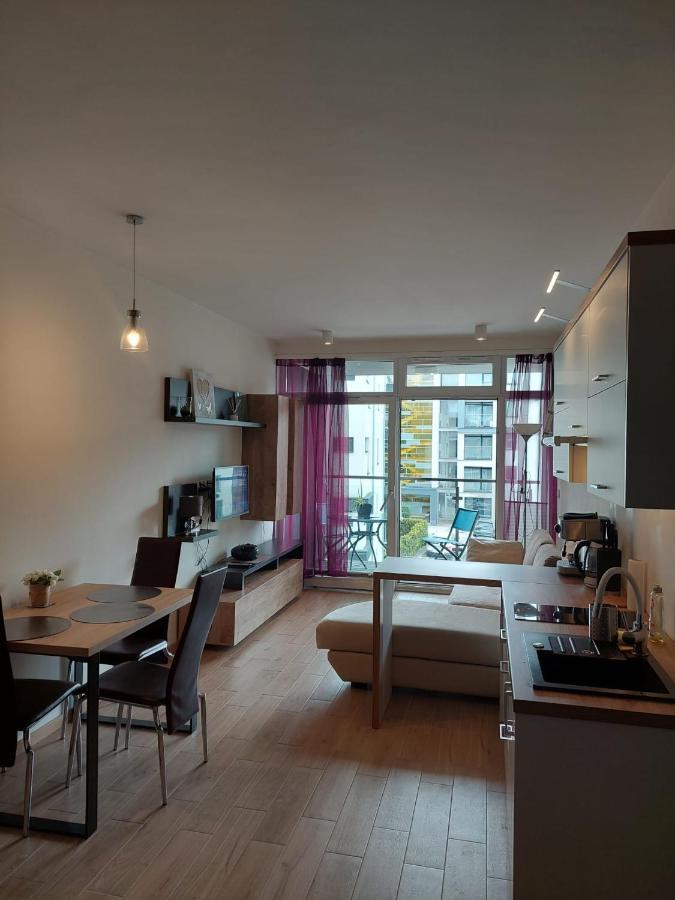 Apartament Pod Szyndzielnia, Debowiec Bielsko-Biała Buitenkant foto